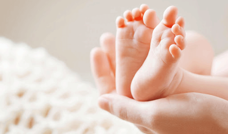 گندم هشت&zwnj;ماهه به دلیل&nbsp;جراحی کلستومی بستری شده است.
